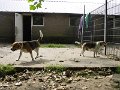 Afb_20160715 (29)